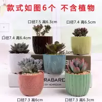 多肉花盆阳台特价陶瓷粗陶罐创意个性大小陶土老桩肉肉植物盆清仓 驼色 中小