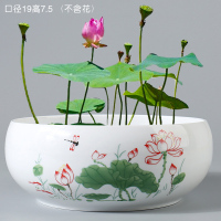 大号碗莲一叶莲无孔水仙花铜钱草陶瓷水培养植物专用花盆特价清仓 大号蜻蜓荷花盆 中等