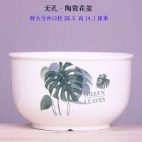 碗莲花盆陶瓷清仓 套装白色大号简约家居办公水仙铜钱草花盆 无孔-背竹23厘米 大