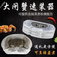 大闸蟹速装器绑螃蟹扣速装器可蒸煮免扎蟹绳螃蟹速装盒塑料螃蟹套 收藏加购再20个[急货] 特小号1-2两80个装[