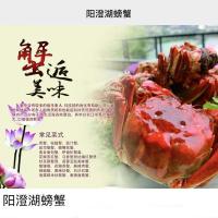 绑螃蟹扣螃蟹戒子螃蟹指环螃蟹标签螃蟹二维码 阳澄湖大闸蟹二维码(每包500个)
