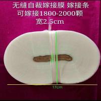嫁接膜果树嫁接膜嫁接条果树包扎绑带绕缠透明薄膜成活率达99% 宽2.3厘米