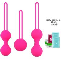 缩阴球私处紧致阴道哑铃私密处神器女士产后训练高潮松弛收紧 大中小套装+礼品