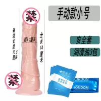 仿真阳具自慰器女用充电女性用道具充电摇摆假阳具振动棒女性用品 手动小号[小礼品]