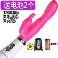 女用自慰器震动棒仿真阳具AV棒振动棒女成人性用品夫妻情趣用品女 双震动 [中号3.0厘米粗]电池款 单品(送收纳袋)