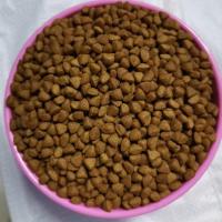 熊出没狗粮通用型犬粮幼犬成犬泰迪比熊金毛马犬大中型犬小型犬 袋装一斤