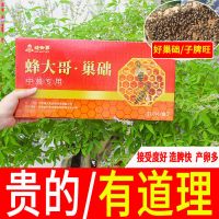 蜂大哥蜜蜂巢础标准中蜂意蜂巢脾蜂巢养蜂工具加厚深房土蜂巢础片 （10片装）试用型巢础【中蜂】 1盒装