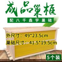 带框巢础成品巢框蜂巢中蜂意蜂杉木巢基蜜蜂巢框养蜂工具蜂箱 中蜂成品巢框5个装
