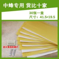 巢础中蜂深房巢础30片装蜜蜂巢基意蜂巢脾养蜂工具蜡片 中蜂巢础30片装
