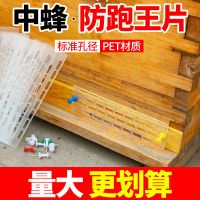 蜂大哥防跑片蜜蜂中蜂蜂王隔王片防盗养蜂蜂箱巢门防峰王跑防逃片 防跑片50个装[不含]