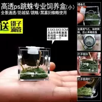 跳蛛饲养盒小型螳螂蝈蝈造景箱大黄蜂佛罗里达蜘蛛昆虫带加湿器 跳蛛饲养盒(小号)