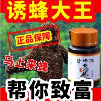 寻蜂液谷大侠招蜂引蜂诱蜂水分蜂野外抓蜂土蜡蜂箱涂抹蜂王信息素 特效诱蜂液1瓶送王笼1