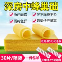 中蜂巢础片深房蜂巢蜂蜡蜂箱养蜂工具蜜蜂巢脾巢基30片巢皮 中锋巢础