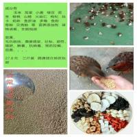 追风哥饲料 竹鸡饲料营养 七彩山鸡粮 日常壮膘助兴料 3斤