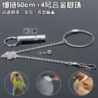 虎皮鹦鹉脚链鸟链子超轻 不锈钢鸟链活扣 玄凤脚链脚环不伤脚站架 4号脚环(虎皮/文鸟) 单独脚环(无脚链)