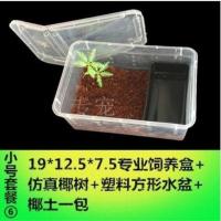 蜘蛛饲养盒蜥蜴爬虫活体宠物树栖爬虫饲养箱蜘蛛饲养盒压成体 小号椰土食盆套餐