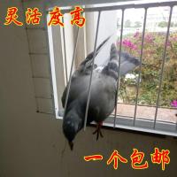 抓鸽子神器 户外用品天落笼只进不出鸽子笼收鸽机用具活络门撞门 活动T条10个