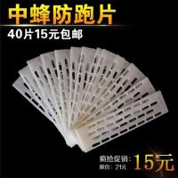 蜂具蜜蜂蜂群蜂箱养蜂专用工具新品全套蜂王活体出售防逃片 20片