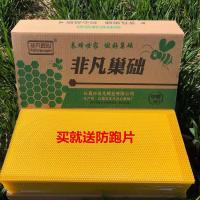 巢础中蜂巢脾蜜蜂蜂箱蜂蜡专用养蜂工具全套巢基30片蜂巢 特级中锋巢础
