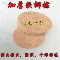 信鸽巢盆棕垫 鸽子窝棕垫 赛鸽鸽具鸟用品用具 鸟窝垫材补充套装 棕垫10个