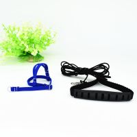 鹦鹉放飞脚链脚环虎皮牡丹八鹩哥鸟用外出遛鸟玄凤训练背带行绳子 虎皮飞绳[蓝色]