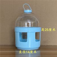 信鸽用品鸽具鸽子饮水器赛鸽水壶鸽子用具鸽子用水槽鸟用透明水壶 2升透明(精品随机颜色)