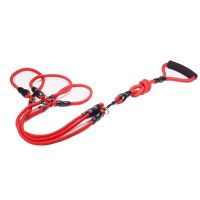 可拆卸多头p链遛狗绳一拖二牵引绳大中小型犬双头狗p链子 S码-小型 P款红色一拖二