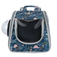 宠物拉杆箱宠物包新款猫包猫袋子猫咪外出便携太空舱双肩小狗袋 01款不带拉杆 猫8-10kg狗10kg