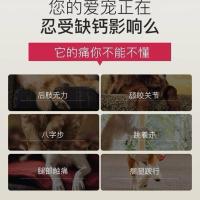 钙帮500毫升液体钙狗狗猫突然瘫痪腿瘸四肢无力腿无力宠物液体钙