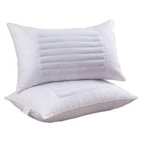 [亏本清仓]荞麦两用枕头枕芯一对大尺寸成人护颈椎单人枕芯枕套 [白色磨毛荞麦两用枕]48*74大号 一只装