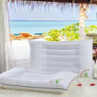 决明子助眠枕花草保健枕 高档护颈明目枕 降价荞麦熏衣草养生枕 决明子明目枕 精美厚实护颈助眠枕1只