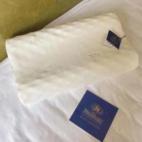 希尔顿记忆枕头单人双人学生枕记忆枕护颈枕按摩助眠防螨枕芯 儿童款[30*50] 一只装