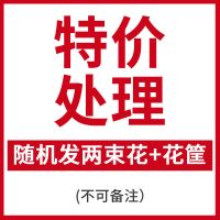 客厅工艺品摆设塑料假花仿真干花束装饰盆栽餐桌绢花茶几摆件花艺 [特价处理款 2束花+B2瓶]