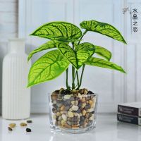 假花仿真花清新绿植金钱草水晶玻璃盆栽客厅办公桌装饰摆件盆景 促销经典方缸小精灵套装 默认