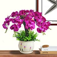 蝴蝶兰花仿真花套装绿植盆栽假花绢花塑料花玄关电视柜摆设花盆景 207盆7叉蝴蝶兰深紫