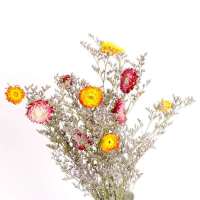 云南超大束满天星干花花束批发真花鲜花论斤卖装饰摆件生日礼物女 木柑菊10只+情人草全干(无赠品) 半斤(发半干再送一束配