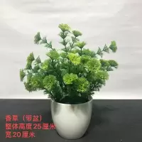 仿真植物盆栽金钱叶多辨叶创意仿真花盆栽家居餐厅网吧摆设装饰 香草