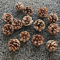 30个野生松果油松天然松塔工艺摆件道具拍照造景材料2-3cm 30个松果(2-3cm)