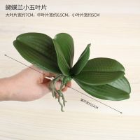 高仿真手感PU蝴蝶兰叶子大支兰花叶插花配草绿植盆栽假叶装饰花卉 仿真蝴蝶兰/小五叶片