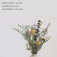 ins简约粗陶瓷干花花瓶摆件勿忘我尤加利叶玫瑰插花北欧家居装饰 (不含粗陶花瓶)情人白勿 干花包