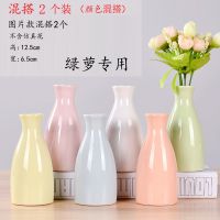 陶瓷小清新花瓶水培植物简约现代客厅家居装饰品花器多色插花摆件 随机混搭2个装(12.5CM)