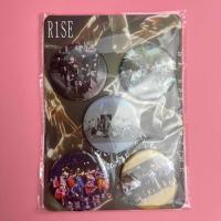 R1SE明信片写着海报周边 周震南夏之光何洛洛翟潇闻任豪张颜齐等 徽章