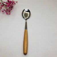 韩式勺筷子ins套装叉子便携式小单人收纳盒木柄质学生餐具3三件套 木柄 勺子一只