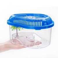 乌龟缸带晒台小型塑料巴西龟缸中型小养乌龟专用缸乌龟盒带盖龟缸 小号缸(不送礼品)
