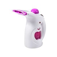 迷你小功率宿舍电熨斗出差旅游熨烫衣神器熨烫衣服机熨烫机手持式 白色800W