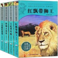 正版促销沈石溪中外名著动物小说霸王龙父子情课外读物书籍[7月31日发完] 红飘带狮王4册