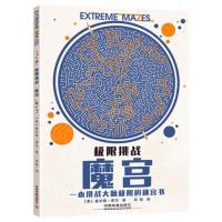 极限挑战魔线魔宫 最强大脑于湛力荐 迷宫挑战大脑连线涂色记忆力 极限挑战魔宫