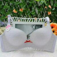 都市丽人都市缤纷派少女文胸无钢圈彩棉质学生内衣无痕舒适型 6412彩灰色 70B