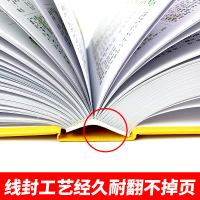 2020新版成语词典+英语词典开心教育小学生多功能大全中小学工具书字典1-6年级全功能小学彩色本彩图版现代汉语成语大词典