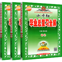 2021新版小学教材全解小升初系统总复习毕业总复习资料语文数学英语全套3本 人教版北师大版必刷题知识大集结6六年级上下册